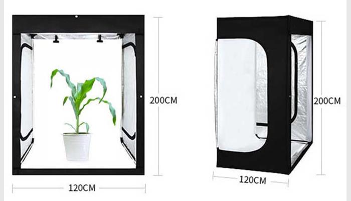 PhenoGA植物表型分析測(cè)量?jī)x系統(tǒng),又稱(chēng)植物表型平臺(tái), 植物表型分析系統(tǒng),植物表型成像分析系統(tǒng)。
基因型、表型和環(huán)境是遺傳學(xué)研究的鐵三角。表型（性狀）是基因型和環(huán)境共同作用結(jié)果，而基因型與表型之間有著多重關(guān)系。研究者用測(cè)序和基因組重測(cè)序來(lái)評(píng)估等位基因差異定位數(shù)量性狀等已變得很普遍，但其需大量性狀數(shù)據(jù)來(lái)佐證。然而這類(lèi)分析測(cè)量的結(jié)果受人員、工具和環(huán)境等的干擾很大，還會(huì)損傷到植物。故迫切需要高效、準(zhǔn)確的萬(wàn)深PhenoGA植物表型分析測(cè)量?jī)x來(lái)做可視化的精確數(shù)據(jù)分析和表型測(cè)試，如測(cè)試對(duì)壓力和環(huán)境因素的表型反應(yīng)、生態(tài)毒理學(xué)測(cè)試或萌發(fā)測(cè)定、生長(zhǎng)研究等。